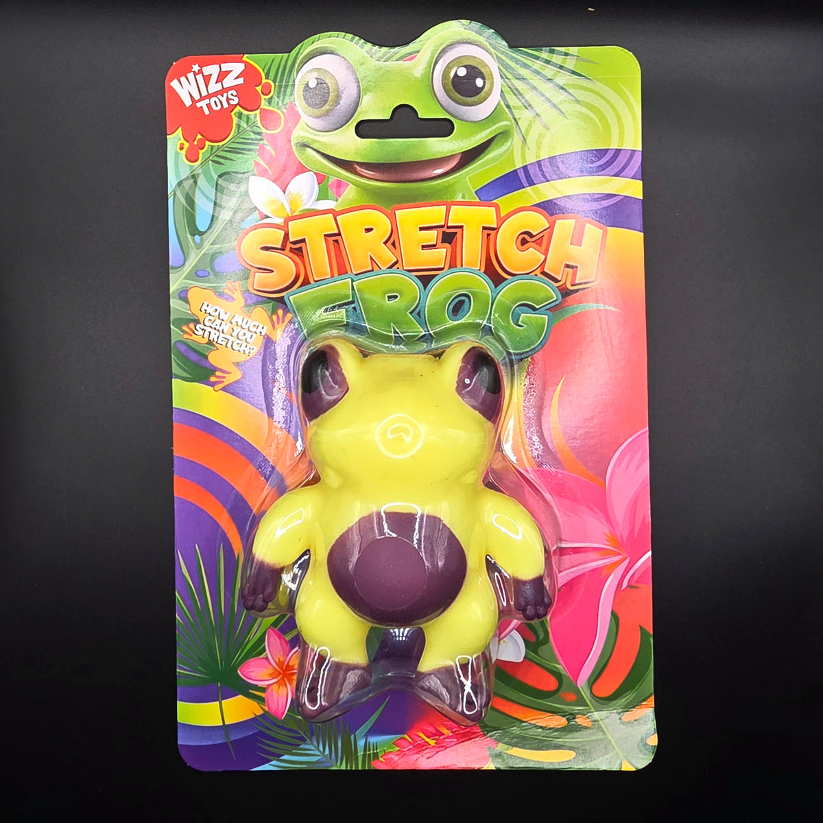 Stretch n Squish Frog