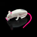 Squishy Stretch Rat